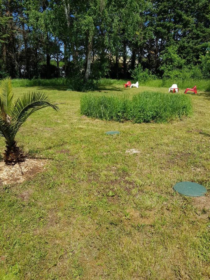 02 - Tres Joli 2 Pieces Avec 3 Lits Pouvant Accueillir Jusqu'A 5 Personnes, Situe Au Rdc Avec Entree Independante, Une Place De Parking Reservee Devant L'Entree Et Terrasse Sur L'Arriere Donnant Sur Parc Arbore, Tout Le Linge De Maison Est Fourni Razac-sur-lʼIsle Eksteriør billede